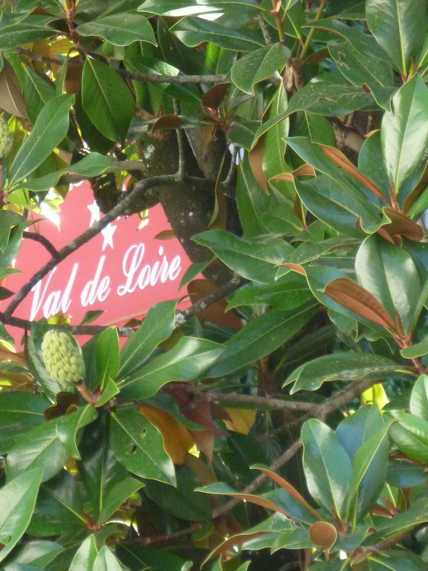Hotel Val De Loire Azay-le-Rideau Exteriör bild